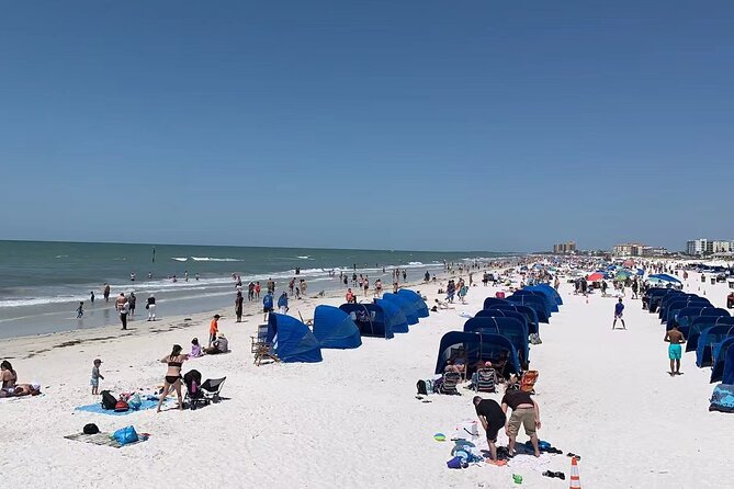 Orlando: Clearwater Beach, Dolphin Cruise Small Group Max 14 Tour - Clearwater Beach for 5 hours: the part you’ll remember