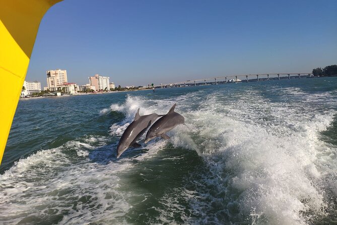 Orlando: Clearwater Beach, Dolphin Cruise Small Group Max 14 Tour - Florida Gulf Coast stop: speed-boat dolphin watch option and what to expect