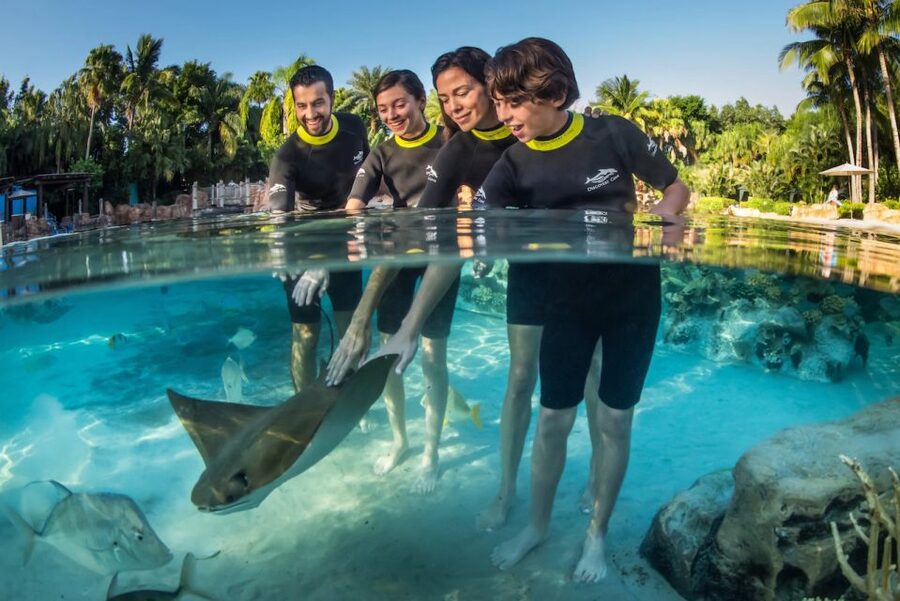 Orlando: Discovery Cove Admission Ticket & Additional Parks - All-inclusive meals, snacks, and beer/wine: what you really get for your money