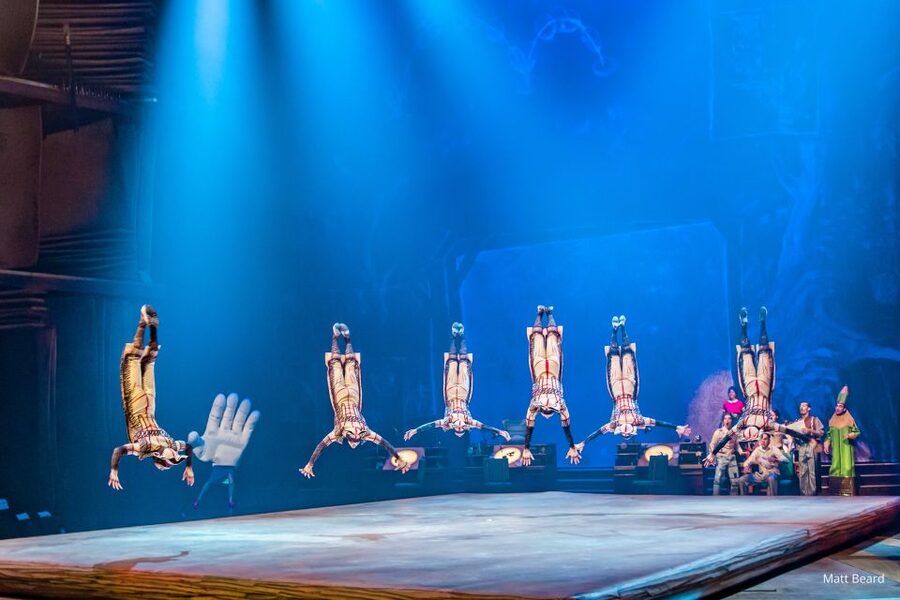 Orlando: "Drawn to Life" Cirque du Soleil Ticket - Final verdict: Should you book this Orlando ticket?