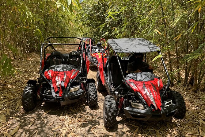 Orlando: Dune Buggy Tour - Price and value: is $89 for 3 hours worth it?