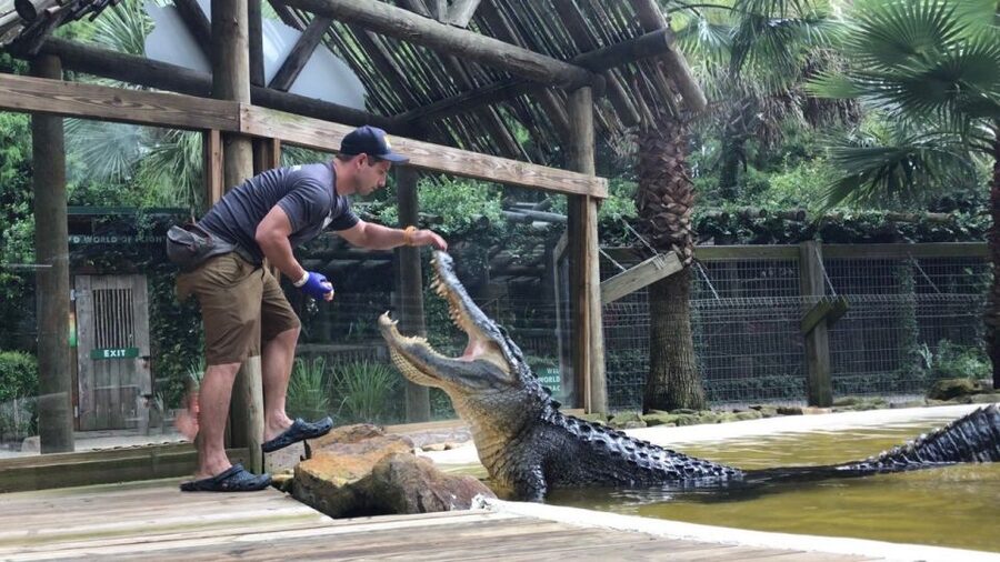 Orlando: Everglades Airboat Ride and Wildlife Park Ticket - FAQ