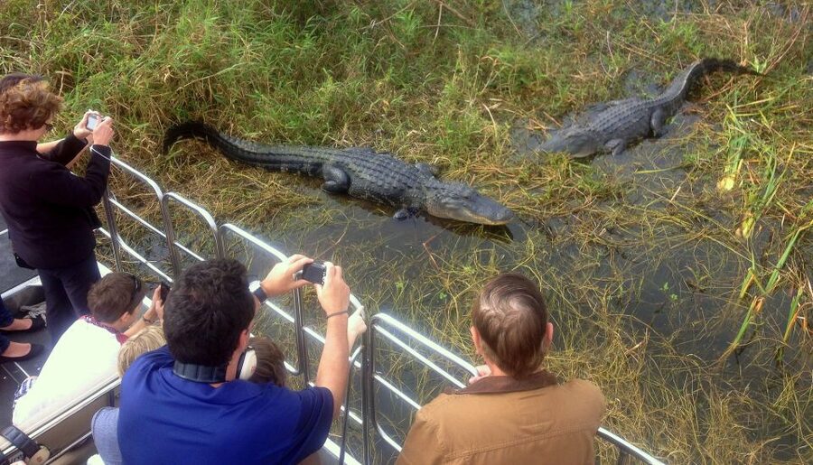 Orlando: Everglades Airboat Ride and Wildlife Park Ticket - What About the Weather, Noise, and Safety Gear?