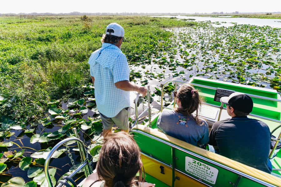 Orlando: Florida Everglades Wildlife Airboat Tour - From Orlando to the Swamp: What the 90-Minute Airboat Format Does Well