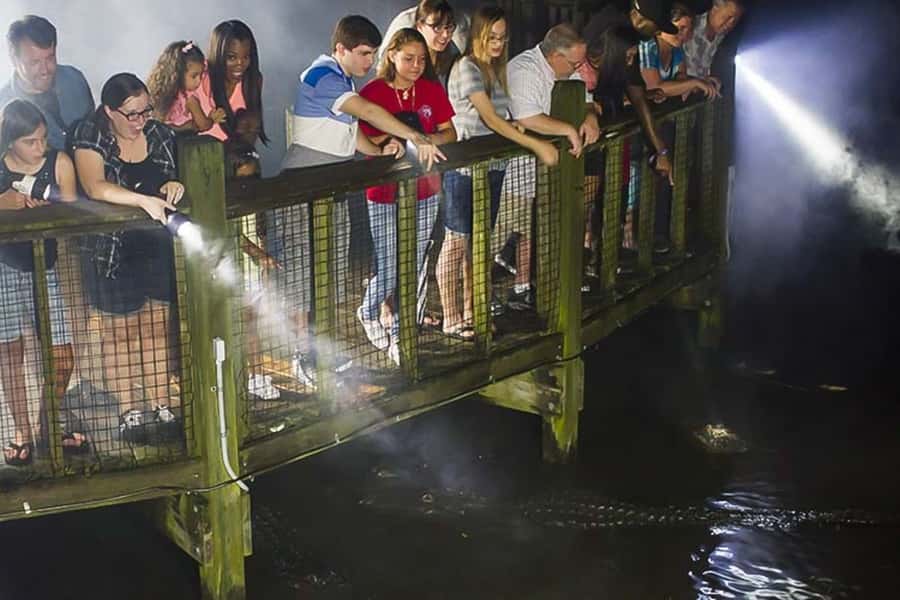 Orlando: Gatorland Flashlight Tour at Night - Key things that make this tour worth your time