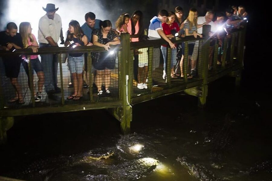 Orlando: Gatorland Flashlight Tour at Night - Wheelchair access: what you can reasonably expect