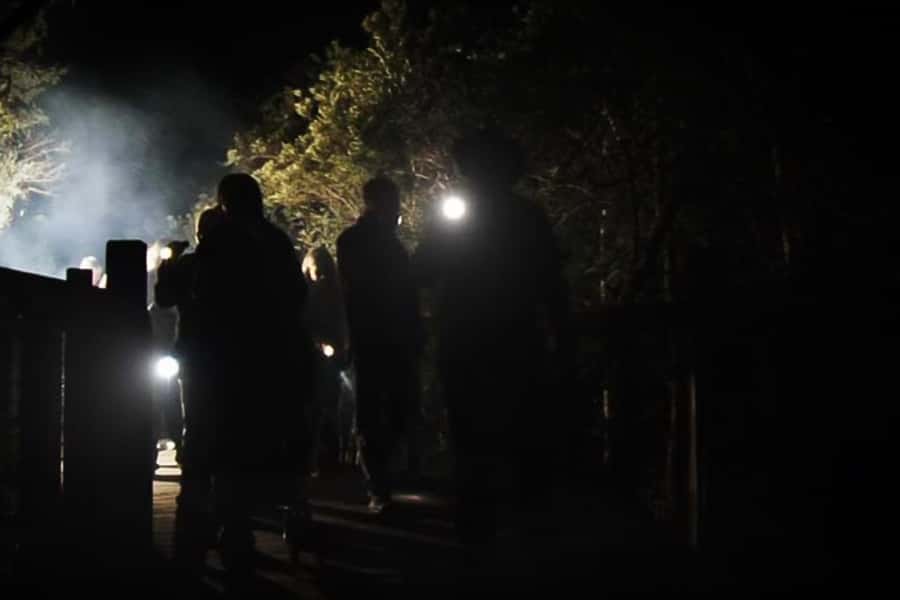 Orlando: Gatorland Flashlight Tour at Night - Meeting point at Gatorland: where to start without stress