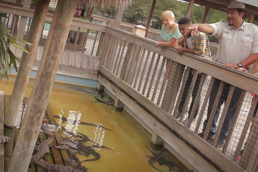Orlando: Gatorland Interactive Tour with Animal Trainer - Key Highlights You’ll Care About