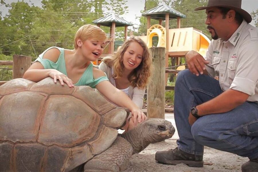 Orlando: Gatorland Interactive Tour with Animal Trainer - Gatorland Trainer Tour: a Small-Group Experience That Actually Feels Guided