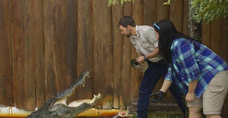 Orlando: Gatorland Interactive Tour with Animal Trainer - First Stop: Holding a Baby Alligator (and Getting Your Bearings Fast)