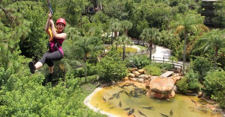 Orlando: Gatorland Zipline Adventure w/ Full-Day Park Access - Key Things to Know Before You Go