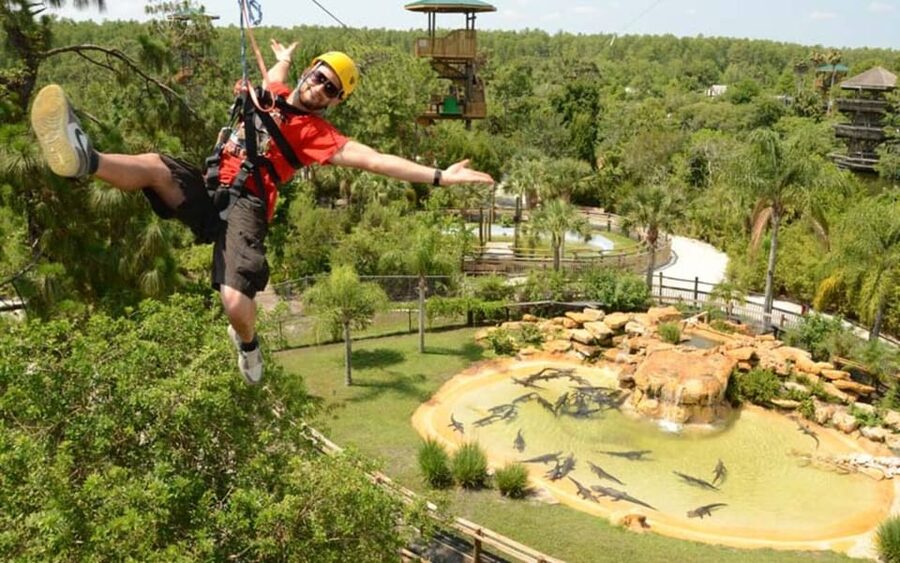 Orlando: Gatorland Zipline Adventure w/ Full-Day Park Access - First Look: Gatorland Zipline’s Big Appeal Is the Animal-Above-You Factor