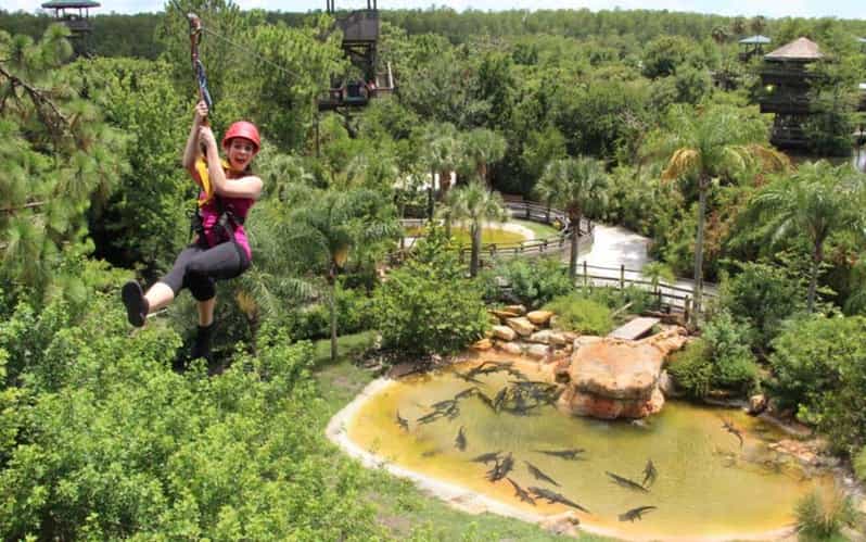Orlando: Gatorland Zipline Adventure w/ Full-Day Park Access - Who This Zipline Course Fits Best (and Who Should Skip It)