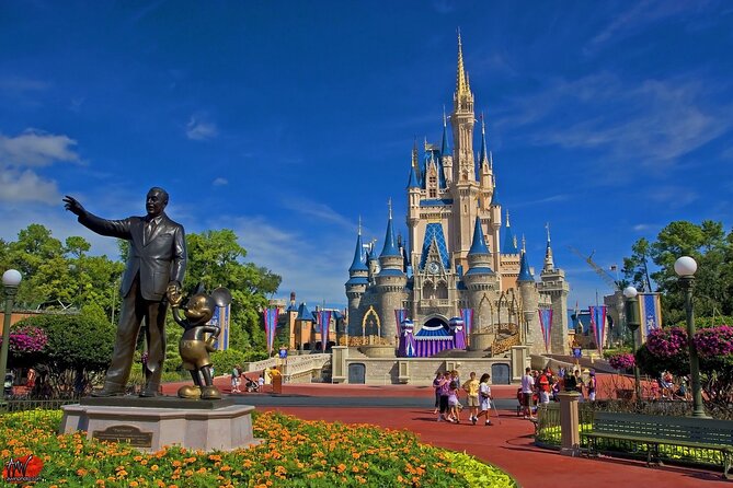 Orlando International Airport Transportation - Driver Experience: Communication and Luggage Help That Actually Matters