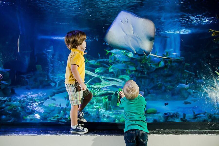 Orlando: Madame Tussauds and SEA LIFE Aquarium Combo Ticket - Madame Tussauds Orlando: Celebrities, DC Icons, and Quick Photo Wins