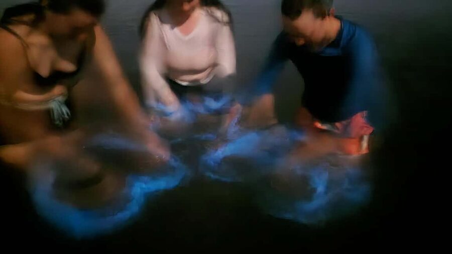 Orlando: Magic After Dark Bioluminescence Kayak Tour - Who should book this bioluminescence kayak tour