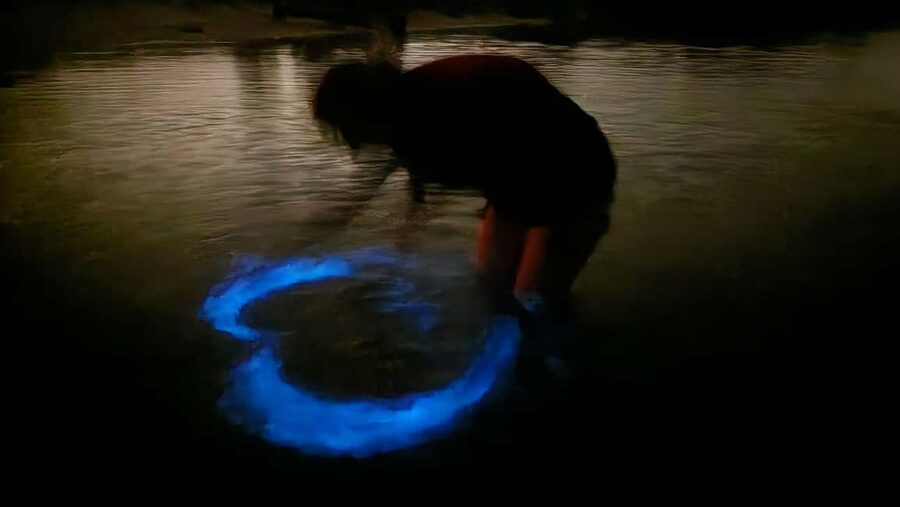 Orlando: Magic After Dark Bioluminescence Kayak Tour - Kayak Beach launch and that 10-minute safety briefing