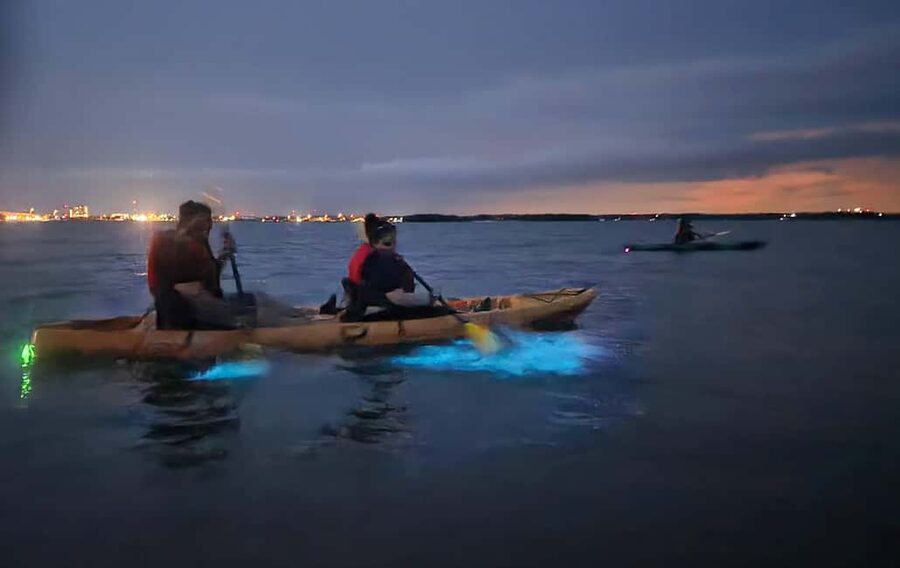 Orlando: Magic After Dark Bioluminescence Kayak Tour - Wildlife etiquette: watching marine life without messing with it