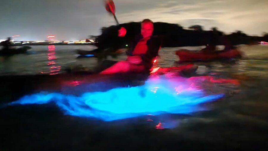 Orlando: Magic After Dark Bioluminescence Kayak Tour - Guides like George and Astrid: the science lesson that makes the glow make sense