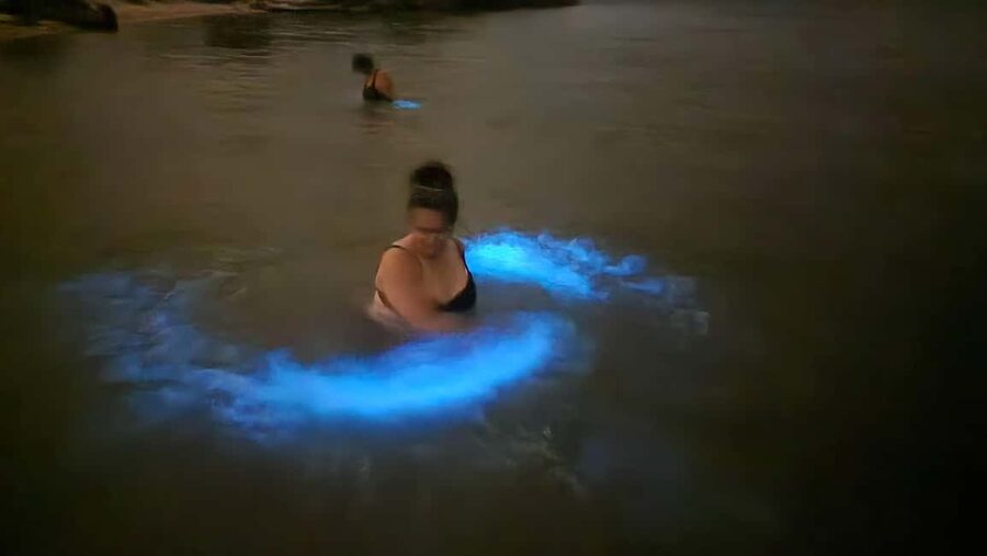 Orlando: Magic After Dark Bioluminescence Kayak Tour - Sunset, late slots, and why timing affects the whole experience