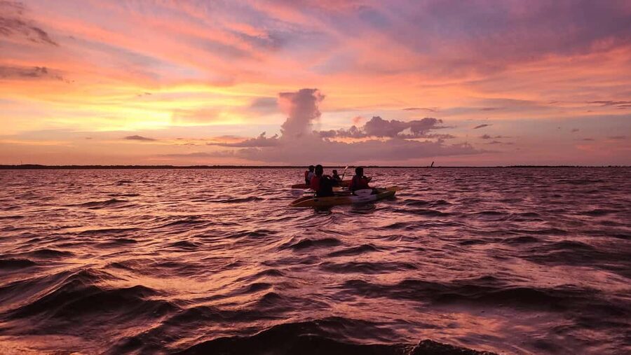 Orlando: Magic After Dark Bioluminescence Kayak Tour - What to bring: the small packing list that prevents a bad night