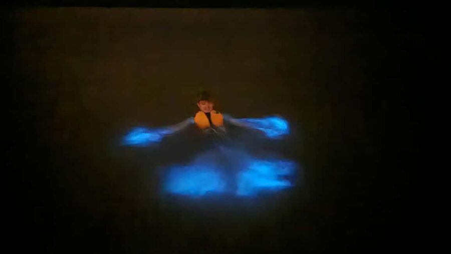 Orlando: Magic After Dark Bioluminescence Kayak Tour - Price and value: what $85 includes (and why the guarantee helps)