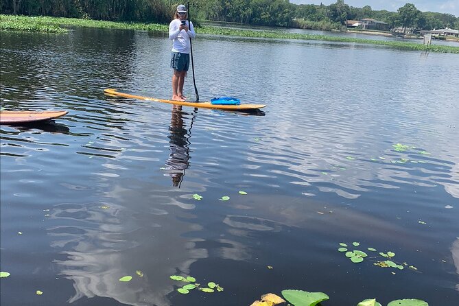 Orlando Manatee and Olde Florida History Adventure Tour - Key Highlights at a Glance