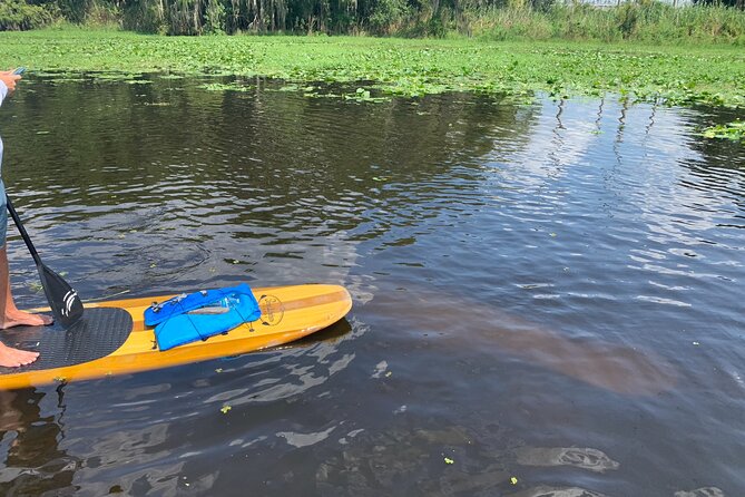 Orlando Manatee and Olde Florida History Adventure Tour - What the “History” Part Really Means on This Tour