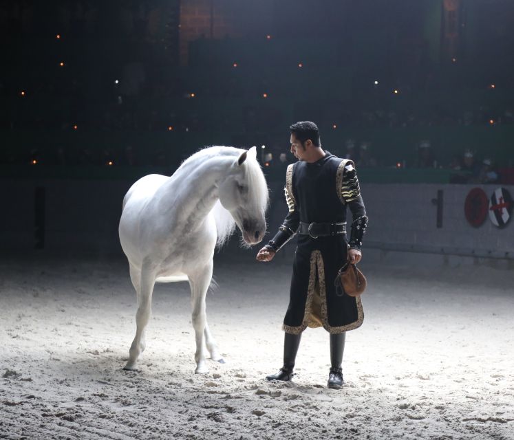 Orlando: Medieval Times Dinner and Show Ticket - How the Color Zones Work (and Why They Make the Show More Fun)