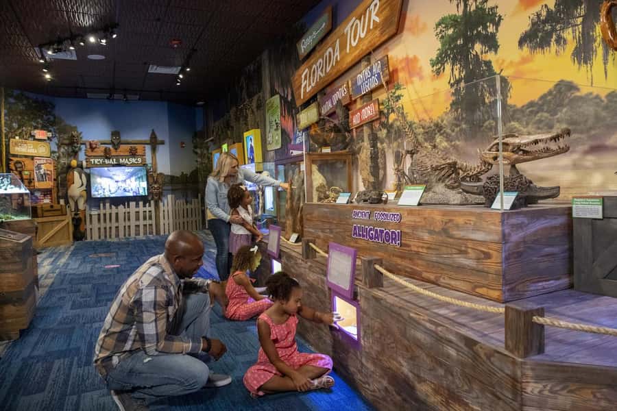 Orlando: Ripley's Believe It or Not! 2-Way Combo - Mirror Maze Orlando: the LED and mirror game you’ll remember