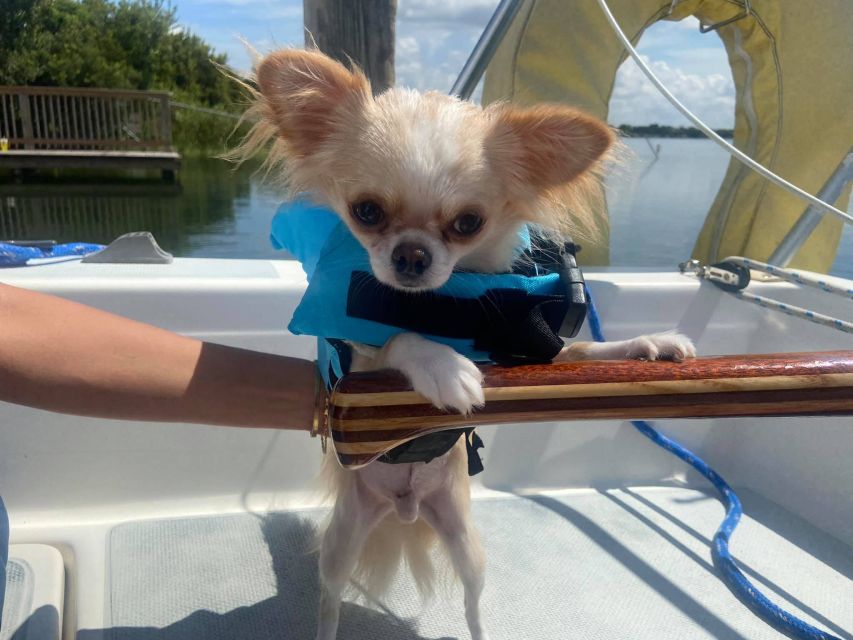 Orlando: Sailing Tour with Certified Sailing Instructor - Meeting at Lake Fairview Park: How to Start Smoothly