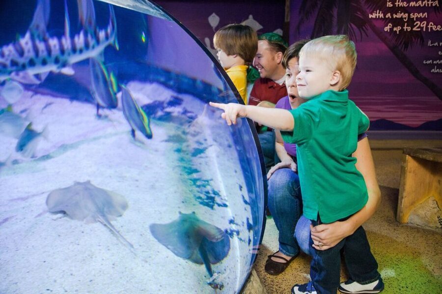 Orlando: SEA LIFE Orlando Aquarium - How long to plan for in your Orlando day