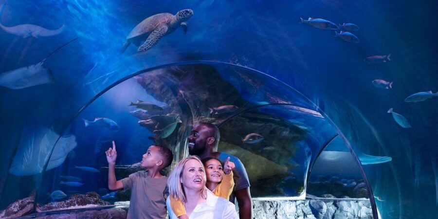 Orlando: SEA LIFE Orlando Aquarium - What the small group setup changes (and what it doesn’t)