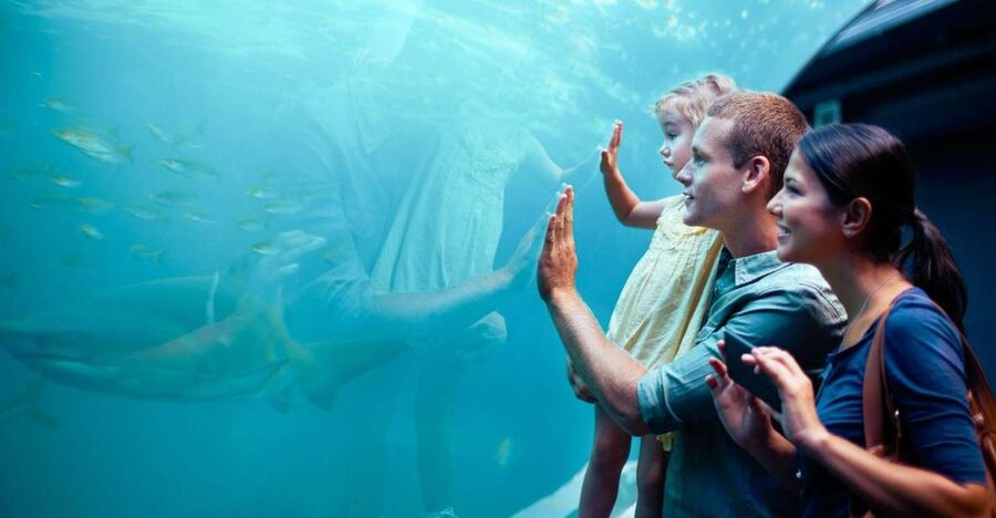 Orlando: SEA LIFE Orlando Aquarium - Price and value: is $30 per person worth it?