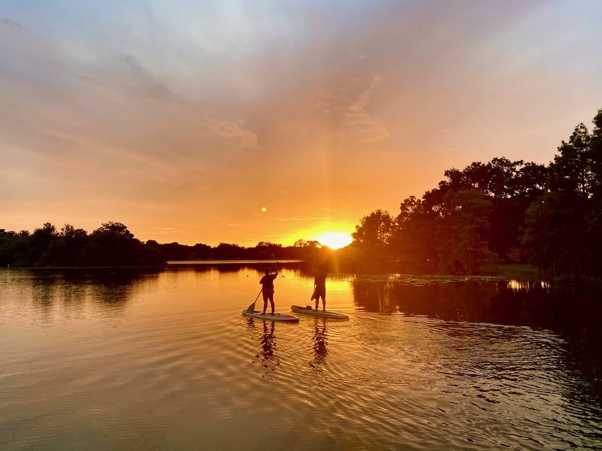 Orlando: Sunset Clear Kayak or Paddleboard in Paradise Tour - The two-hour flow on Lake Ivanhoe (and what each part feels like)