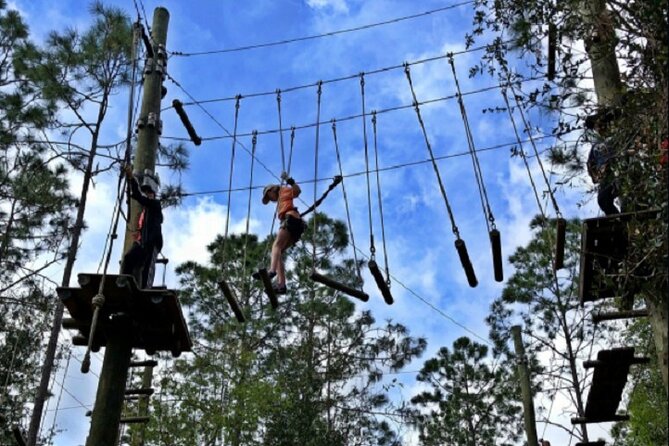 Orlando Tree Trek Adventure Park - Tree Trek in Orlando: what you’re actually doing up in the pines