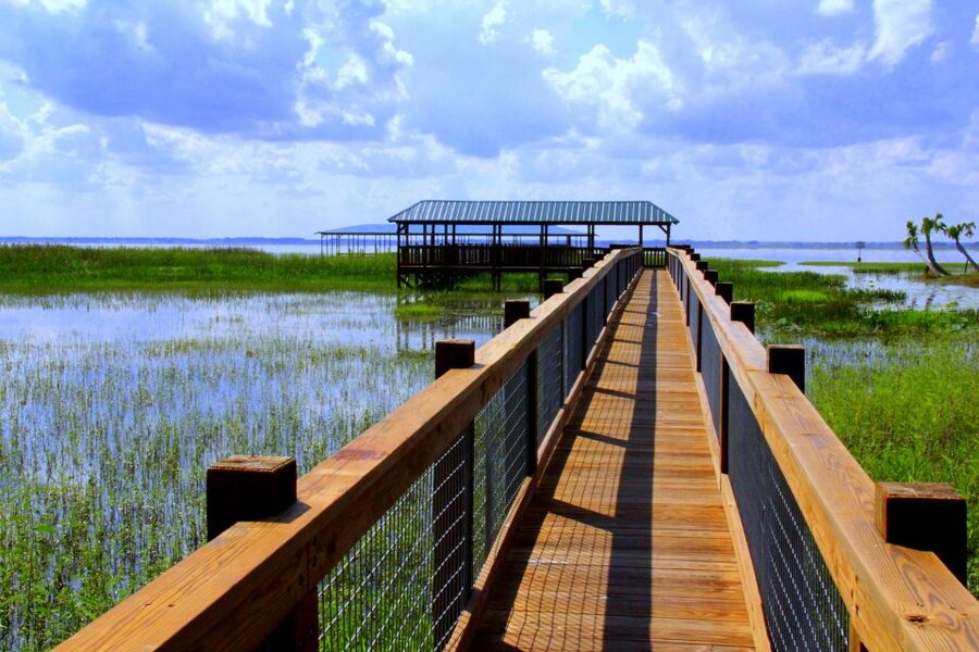 Orlando: Wild Florida Airboat Ride with Hotel Pickup & Lunch - Wild Florida Wildlife Park: where the day turns from thrill to wildlife time