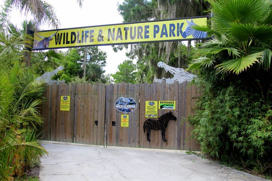 Orlando: Wild Florida Airboat Ride with Hotel Pickup & Lunch - Lunch at Chomphouse Grill: BBQ basket comfort with a side of Florida fun