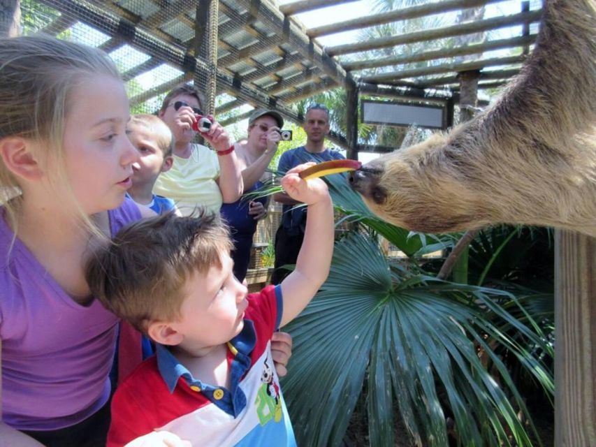 Orlando: Wild Florida Park Ticket and Gator Shows - A Quick Note on Weather and What to Wear
