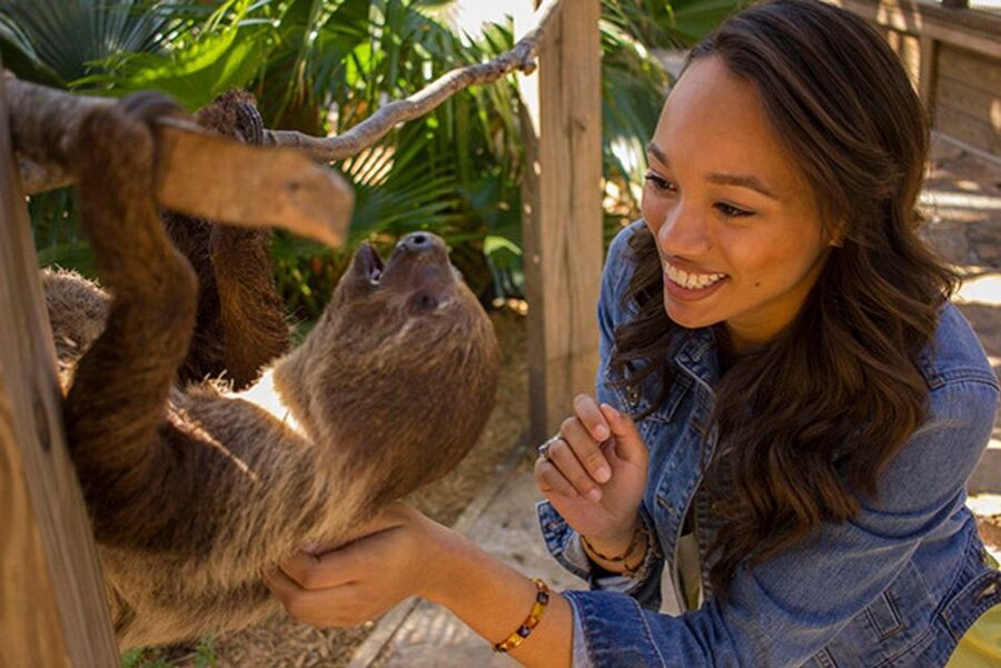 Orlando: Wild Florida Park Ticket and Gator Shows - The 500-Foot Sightseeing Dock: Easy Viewing Without Extra Effort