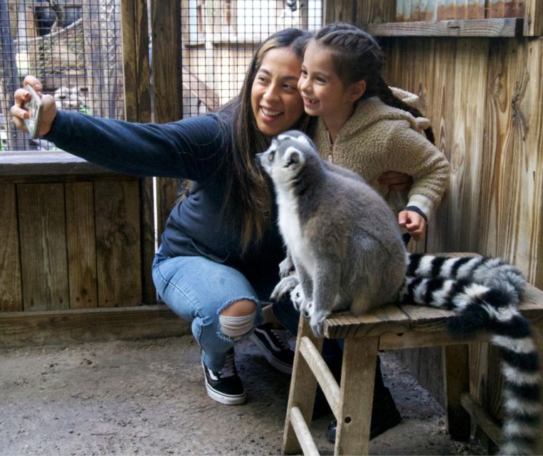 Orlando: Wild Florida Park Ticket and Gator Shows - On-Site BBQ: Turning It into a Longer Stop (Optional)