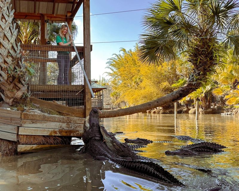 Orlando: Wild Florida Park Ticket and Gator Shows - Who Should Book This Wild Florida Ticket?