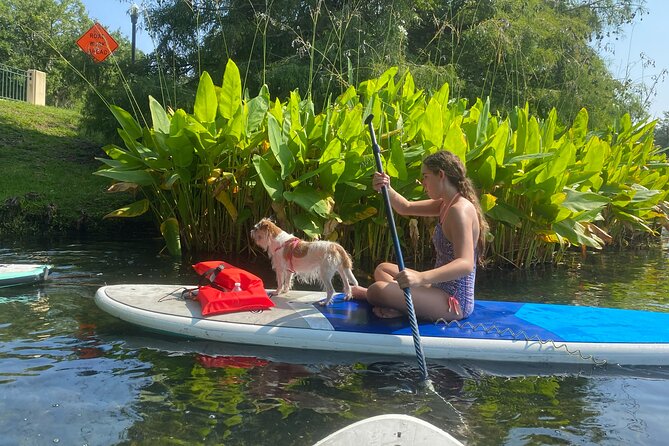 Paddle with Pups in Paradise - Paddleboard or Kayak - Lake Ivanhoe and the dog-first vibe: why this is different