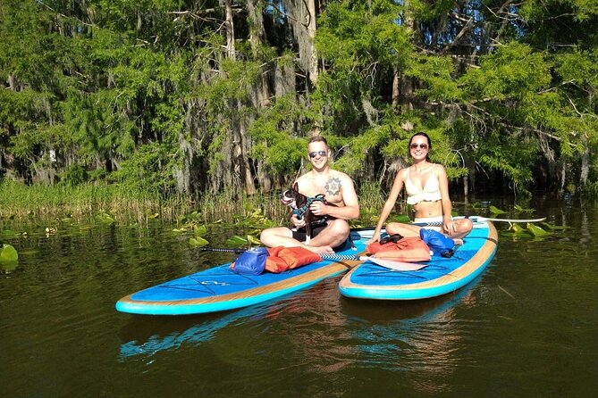 Paddle with Pups in Paradise - Paddleboard or Kayak - The lesson on stable clear boards: how beginners get steady