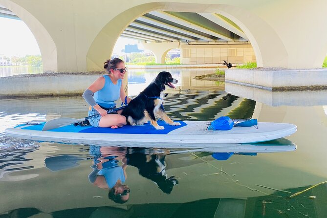 Paddle with Pups in Paradise - Paddleboard or Kayak - Kayak vs. paddleboard: choosing what fits you and your pup