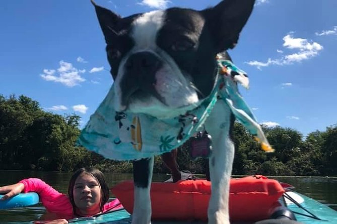 Paddle with Pups in Paradise - Paddleboard or Kayak - Paddle with pups: life vests, weight checks, and real safety