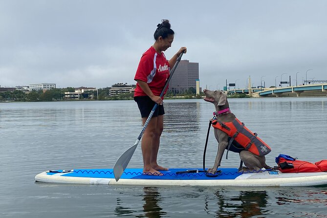 Paddle with Pups in Paradise - Paddleboard or Kayak - What the 2 hours feel like on the water