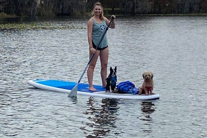 Paddle with Pups in Paradise - Paddleboard or Kayak - What you’ll see on Lake Ivanhoe (and why it’s a good first water day)