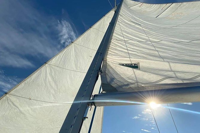 Private 2-Hour Day Sailing Experience - Value for $89 per person: when a private sail makes sense