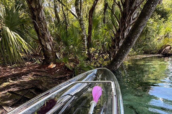 Private Crystal Clear 2 HR Kayak/Paddle Rental on Rainbow River - Key Things I’d Bookmark Before You Go